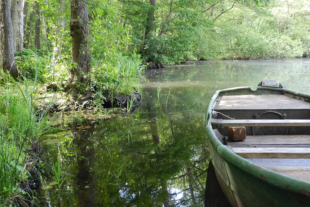 Boot im Wasser, am Ufer Wald