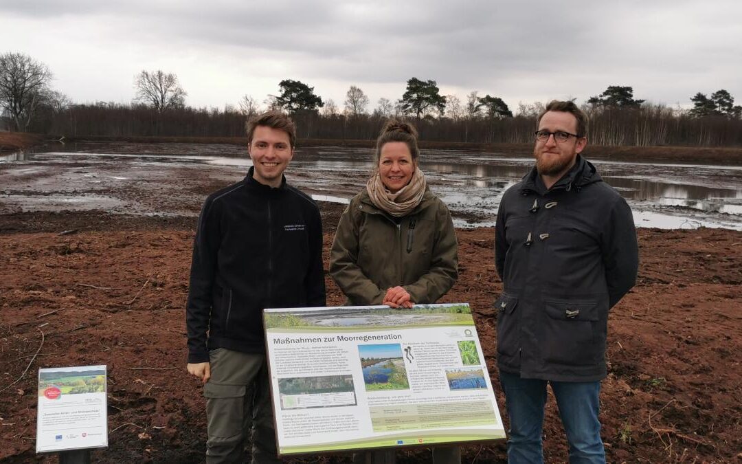 Erfolgreicher Projektabschluss: Naturschutzgebiet Venner Moor ist wieder großflächig vernässt